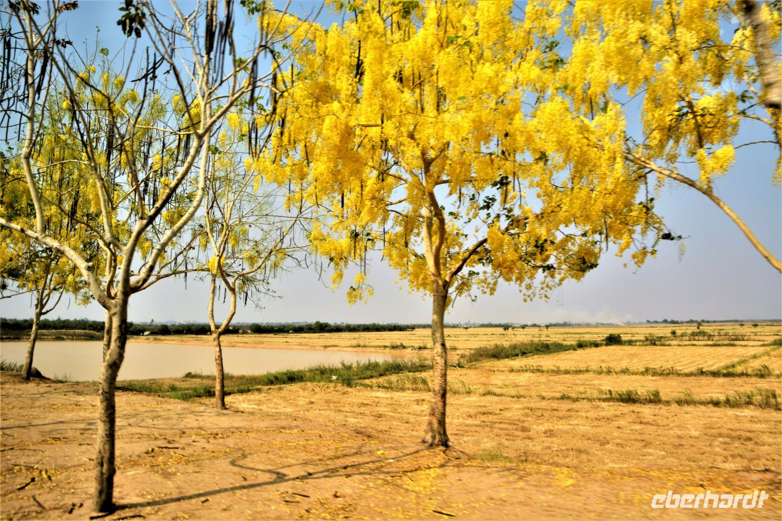 vor der Monsunzeit - 39 Grad im Schatten