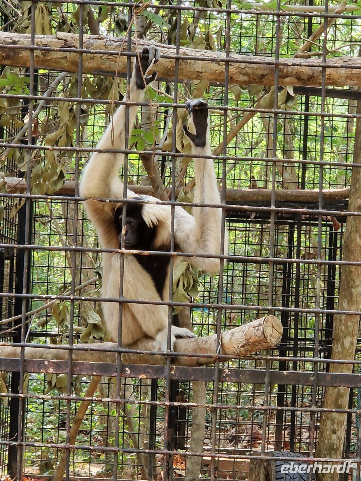 ich hab viel Kraft in meinen Armen (copyright A.S.)