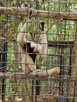 ich hab viel Kraft in meinen Armen (copyright A.S.)