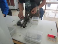 So werden in de Perlen die Löcher gestochen, Vietnam 