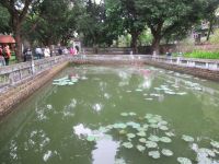 Teich auf dem Gelände von Literaturtempel, Hanoi