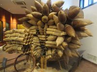 So viel kann man auf ein Fahrrad packen..