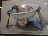 Kampf gegen Hochwasser, Bild, Hoi An, Vietnam