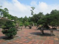 Der Hof und die große Bonsai, Hue