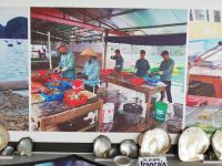 Perlenzucht, Vietnam 