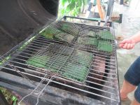 Und jetzt wird der Fisch und Fleisch gegrillt, Koch Kurs, Thanh Dong Farm, Hoi An