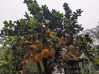 42. Ho Chi Minh Mausoleum