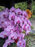 44. Ho Chi Minh Mausoleum