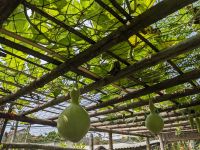 107. Rundgang über die Anlage der Bauernfamilie