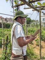 108. Rundgang über die Anlage der Bauernfamilie