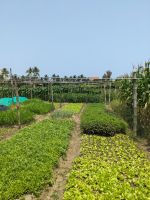 111. Rundgang über die Anlage der Bauernfamilie