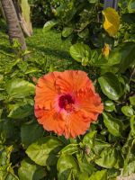 158. Zwischenstopp auf dem Weg nach Hue