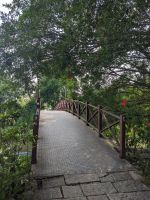 334. Mittagessen Rückweg Saigon