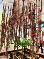 34 Ethnologisches Museum