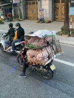 143 Auf den Straßen Vietnam unterwegs