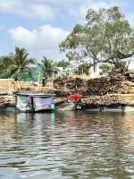 172 Unterwegs im Mekong - Magroven