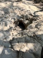 195 Cu Chi Ausflug - Katakomben