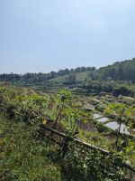 Aussichten während der Wanderung