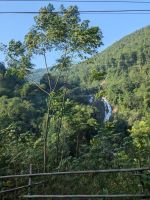 Ausblicke aus dem Bus