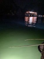 Tintenfische angeln am Abend