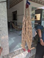 Hängematten aus getrockneten Bananenblättern