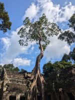 Ta Prohm Temple