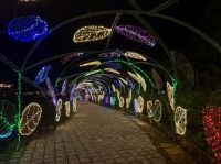 Hoi An Memories Land (4)