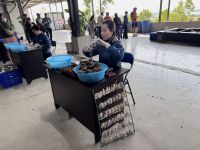 Perlenfarm, Halong Bucht (1)