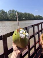 Tagesausflug ins Mekong Delta (2)