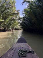 Tagesausflug ins Mekong Delta (5)