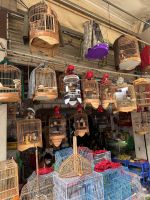 Vietnam - Hanoi, Straßen von Hanoi