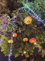 Vietnam - Hanoi, Straßen von Hanoi