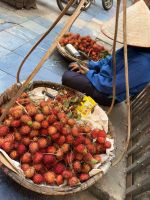 Vietnam - Hanoi, Straßen von Hanoi