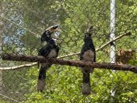 Kambodscha - Siem Reap, Naturschutzzentrum 