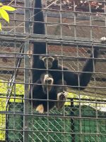Kambodscha - Siem Reap, Naturschutzzentrum