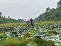Kambodscha - Siem Reap