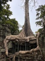 Kambodscha - Siem Reap, Taprohm