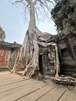 Kambodscha - Siem Reap, Taprohm
