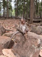 Kambodscha - Siem Reap