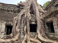 Kambodscha - Siem Reap, Taprohm