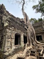 Kambodscha - Siem Reap, Taprohm