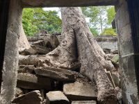 Kambodscha - Siem Reap, Taprohm