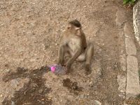 Kambodscha - Siem Reap