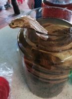 Vietnam - Mekong-Delta