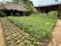 Vietnam - Hoi An, Kochkurs