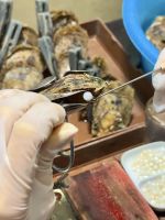 Vietnam - Halong Bucht, Perlenzucht