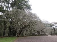 In Hue - Grabanlage von Tu Dhuc