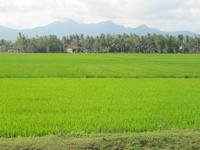Auf der Fahrt in Richtung Süden
