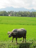 Auf der Fahrt in Richtung Süden