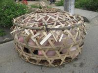 Auf der Fahrt in Richtung Süden